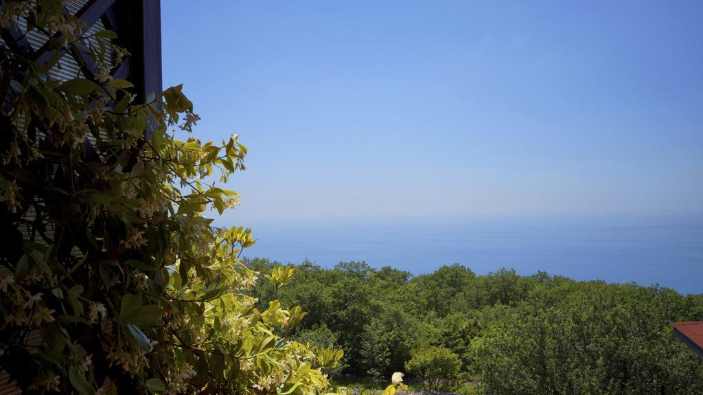 Apartmani Zona Sveti Stefan Exterior photo